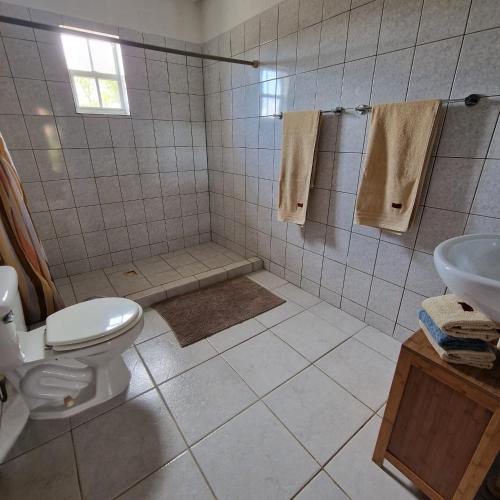 a bathroom with a toilet and a sink at Nos Soño Stay and Dive in Westpunt