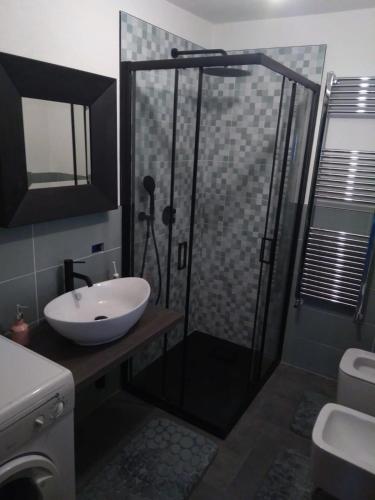 a bathroom with a shower with a sink and a toilet at B&B La Stria del Re in Rino