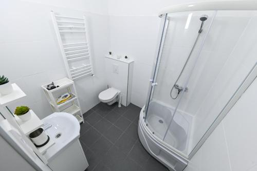 a white bathroom with a shower and a toilet at Charming apartment in Damjanich str., Lucas in Budapest