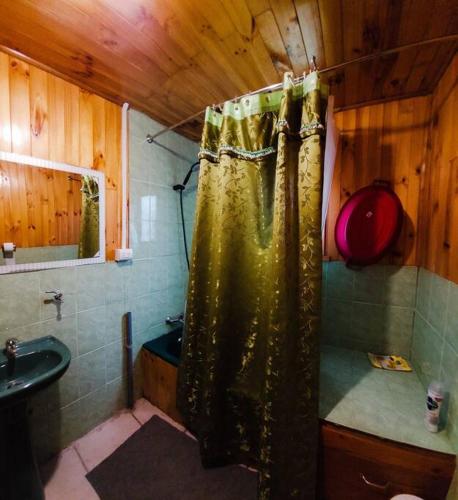 y baño con cortina de ducha y lavamanos. en Acogedora Cabaña, en Riñinahue