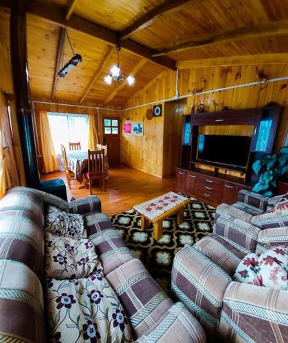 Sala de estar con 2 sofás y TV en Acogedora Cabaña, en Riñinahue