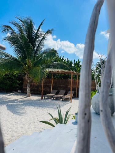 a beach with a gazebo and a palm tree at Casa Almea Sisal in Sisal