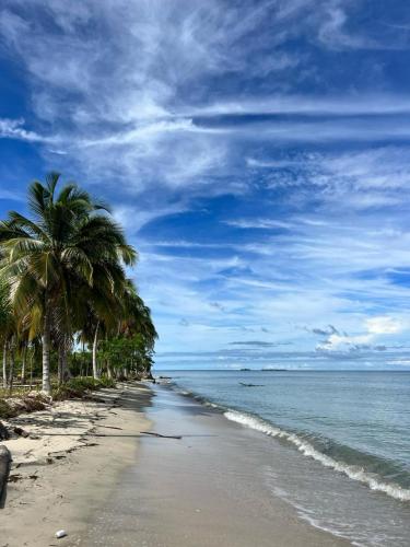 a beach with palm trees and the ocean on a cloudy day at Hostel Beach House in Rincón