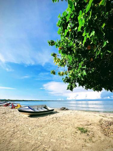 a boat on a sandy beach next to the water at Hostel Beach House in Rincón