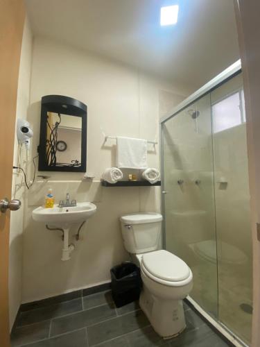 La salle de bains est pourvue de toilettes, d'un lavabo et d'une douche. dans l'établissement Departamento Ecoface Vallarta, à Puerto Vallarta
