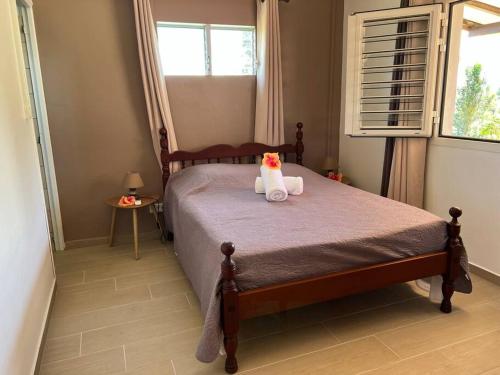 a bed with a cat sitting on top of it at 972B-Coin de verdure au pied de la Montagne Pelée in Le Morne Rouge
