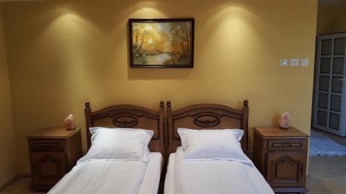 a bedroom with two beds and a painting on the wall at Vila Zorii Zilei in Baile Felix