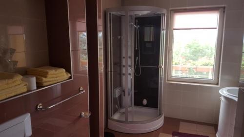 a glass shower in a bathroom with a window at Vila Zorii Zilei in Baile Felix