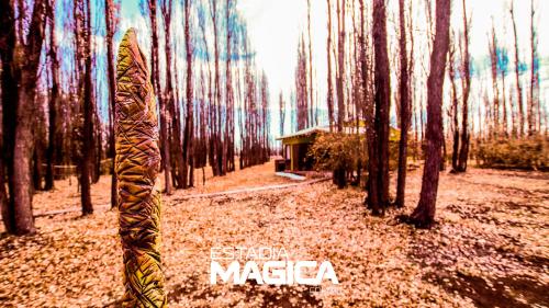 un tableau représentant une forêt avec un bâtiment au milieu dans l'établissement Cabañas en Malargue, à Malargüe