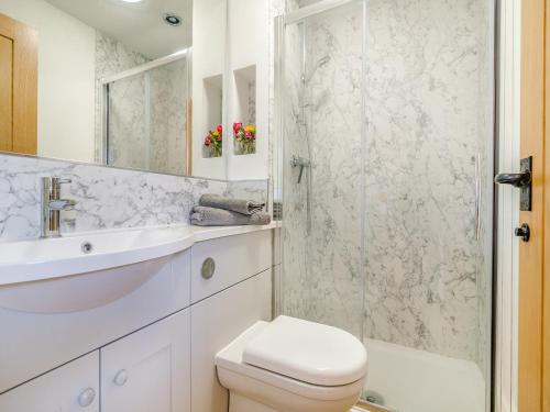 a white bathroom with a toilet and a shower at Paddock Barn in North Nibley