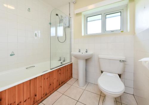 a bathroom with a toilet and a sink and a shower at 10 Llwyn Onn Beach Hut in Abersoch