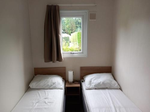 two beds in a room with a window at Lodge Damian op de Veluwe in Voorthuizen