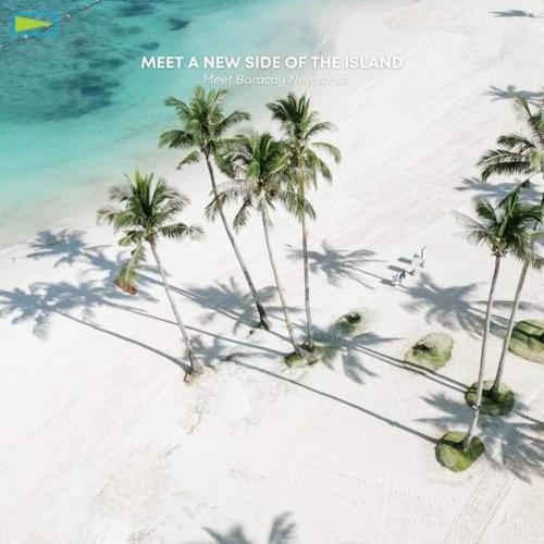 a group of palm trees on a beach at Condo de Avila in Boracay