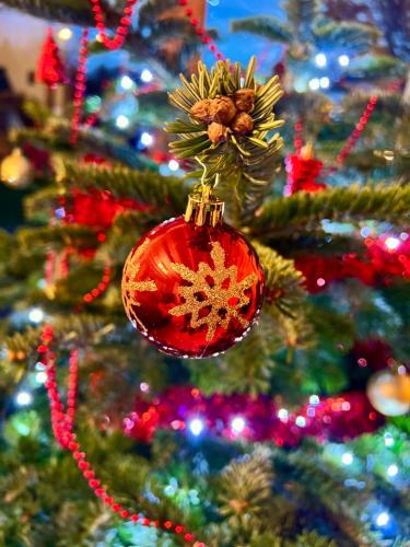 a red christmas ornament on a christmas tree at La Balade enchantée- gîte 6 personnes - Ardenne Belge in Tenneville