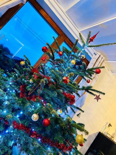 a christmas tree in front of a window at La Balade enchantée- gîte 6 personnes - Ardenne Belge in Tenneville