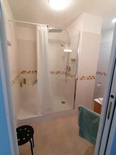 une salle de bain avec une douche avec un rideau de douche dans l'établissement Superbe appartement plage des catalans, à Marseille