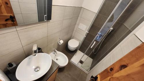 a bathroom with a sink and a toilet at La Golette Apartment in La Thuile