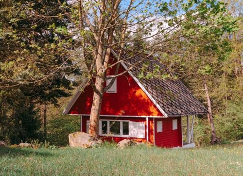una casa roja con un árbol en un campo en Malý Oslov Glamping, en Oslov