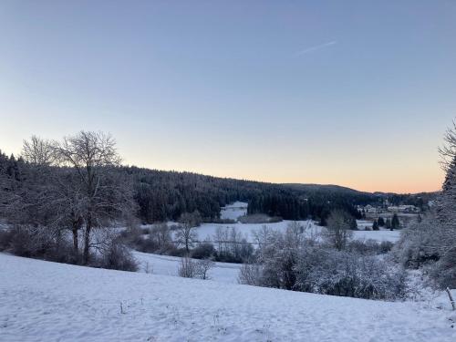 Gallery image of Camping-Chalets La Favière in Lac des Rouges Truites
