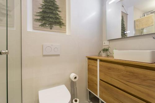 uma casa de banho com um WC, um lavatório e um espelho. em Apartamento Mulhacen Centro em Granada