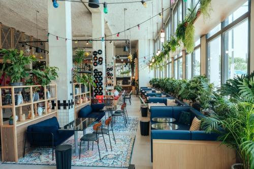 restauracja z niebieskimi kanapami i roślinami w obiekcie JOST Hostel Montpellier Centre St Roch w Montpellier