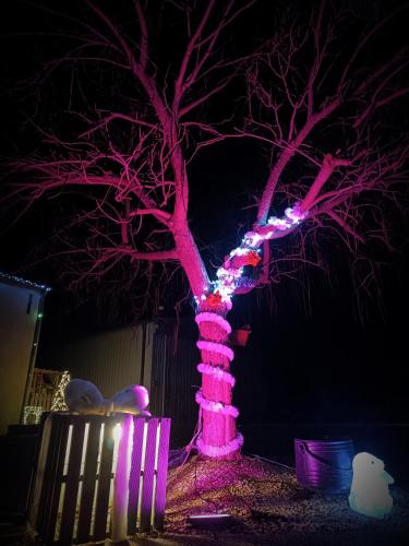 un arbre allumé avec des lumières roses près d'une clôture dans l'établissement Maison charmante, à Ligueil