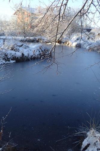 a frozen pond with snow on the ground at Gemütliche Ferienwohnung in hirschreicher Umgebung in Jasnitz