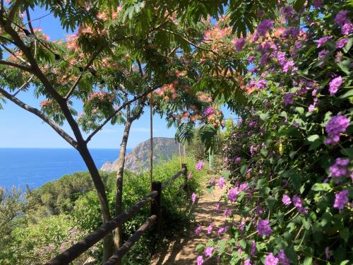 モンテロッソ・アル・マーレにあるVilla Pietrafioreの花と海を背景にした遊歩道