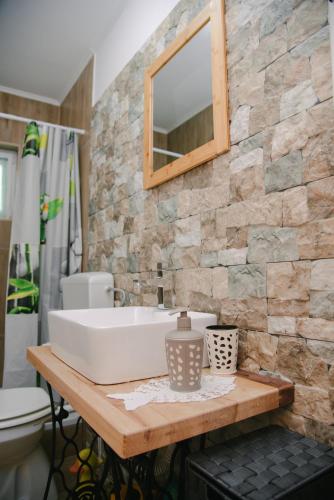 a bathroom with a sink and a mirror at Kuća za odmor Ana in Josipdol