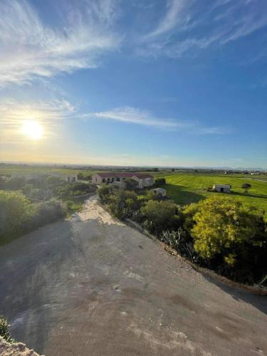 a dirt road in a field with the sun in the sky at Domaine El Htouba in Korba