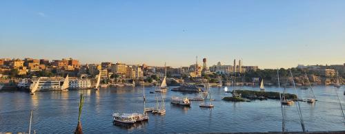 a group of boats are docked in a harbor at La Terrace in Aswan