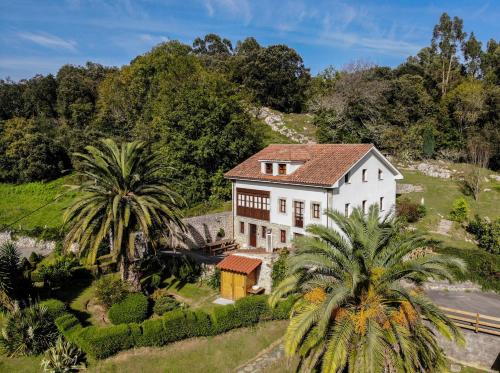 an aerial view of a house with palm trees at Casas El Jogueru in Ribadesella