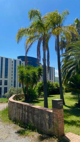 a group of palm trees in a park with a building at San Michele Apartments&Rooms in Catanzaro