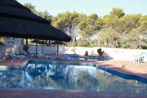 una gran piscina con techo de paja en Les Grands Pins emplacement numéro 103, en Le Castellet