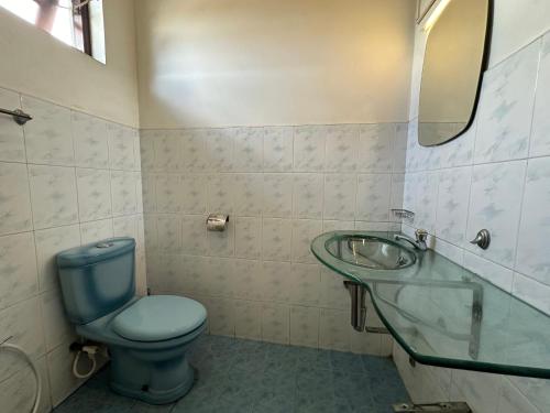 a bathroom with a toilet and a sink and a mirror at Natures Bliss Holidays in Ja-Ela