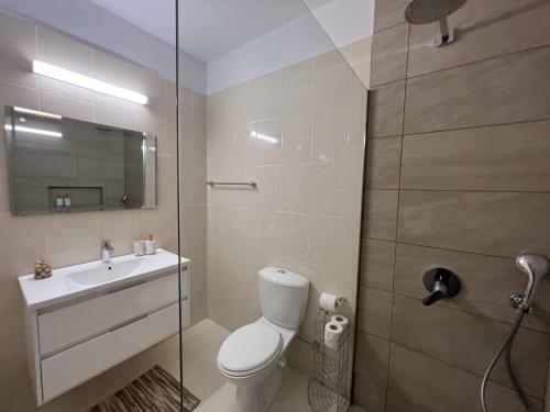 a bathroom with a toilet and a sink and a shower at Royal-Seacrest Paphos-Center VIP in Paphos City