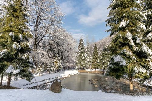 a snow covered forest with a river and trees at Voevodyno Resort in Tur'ya Pasika