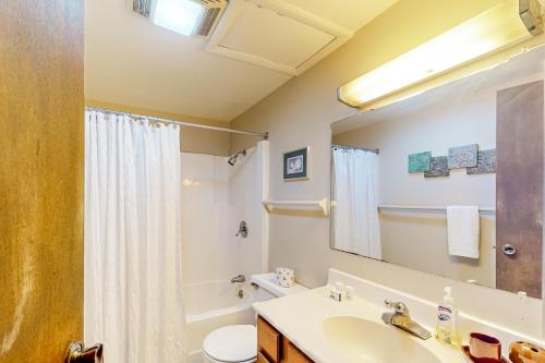 ein Badezimmer mit einem Waschbecken, einem WC und einem Spiegel in der Unterkunft The Treasure of Beech Mountain in Beech Mountain