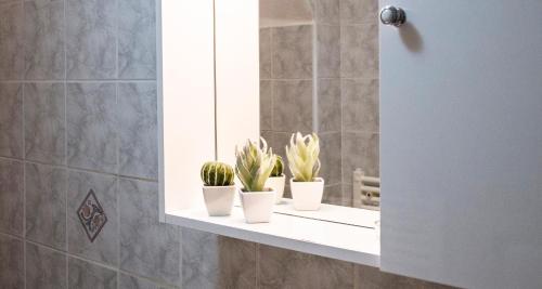 un miroir de salle de bains avec trois plantes en pot sur une étagère dans l'établissement Da Mimmo e Dora, à Blevio
