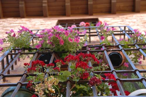 um monte de vasos de flores cheias de flores vermelhas e rosas em Los Cuatro Caños em Sigüenza
