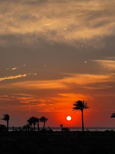 a sunset with palm trees in front of the ocean at Zad El Mosafer Guest House in Tunis