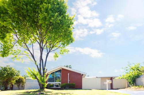 a tree in front of a red building at Modern Cozy Retreat-3Bedroom, Full Kitchen, Coffee Machine, Cot, Pets allowed-Fully Fenced,FreeWifi, Netflix, 2TV in Campbelltown