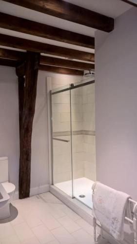 une salle de bain avec une douche en verre et des toilettes dans l'établissement 3 bedroom apartment in the grounds of a Chateau, à Saint-Paul-Lizonne