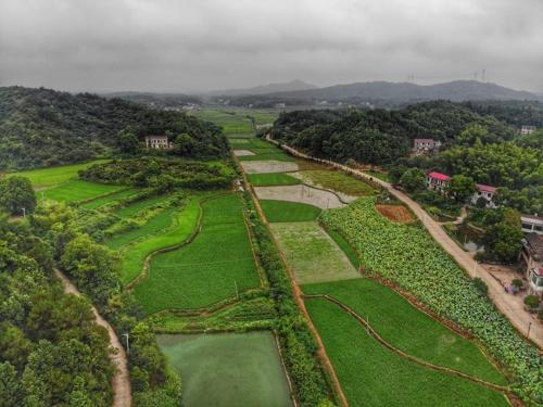 eine Luftansicht auf einen Garten mit grünem Gras in der Unterkunft Youbao House in Xiangtan