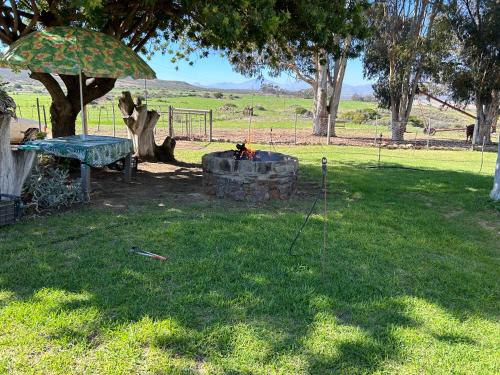 a fire pit in a park with a table and an umbrella at Plaashuisceres in Ceres
