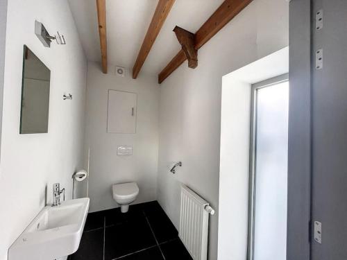 a white bathroom with a sink and a toilet at Blauwhof - Steenkerke in Veurne