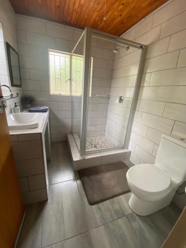a bathroom with a shower and a toilet and a sink at Milkwood Holiday Home in Marloth Park