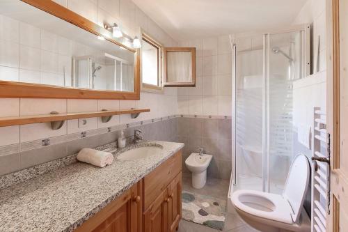 une salle de bain avec un lavabo, des toilettes et une douche dans l'établissement Les Alpages - Newly Renovated - 2bed - Equipment Storage - Mont-Blanc Views, aux Houches
