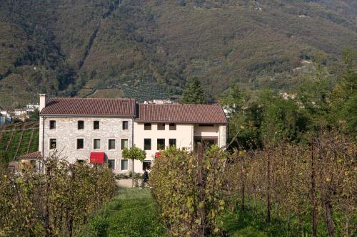 a white house with a mountain in the background at Casa Valdo Country House in Valdobbiadene