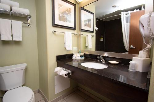 La salle de bains est pourvue d'un lavabo, de toilettes et d'un miroir. dans l'établissement Holiday Inn Express and Suites Dawson Creek, an IHG Hotel, à Dawson Creek